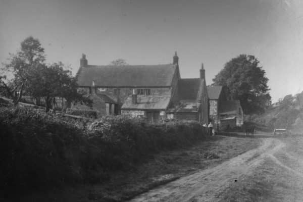 Ninham Farm Archive (2)