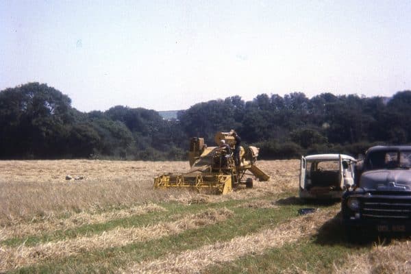 Ninham Farming Archive-22