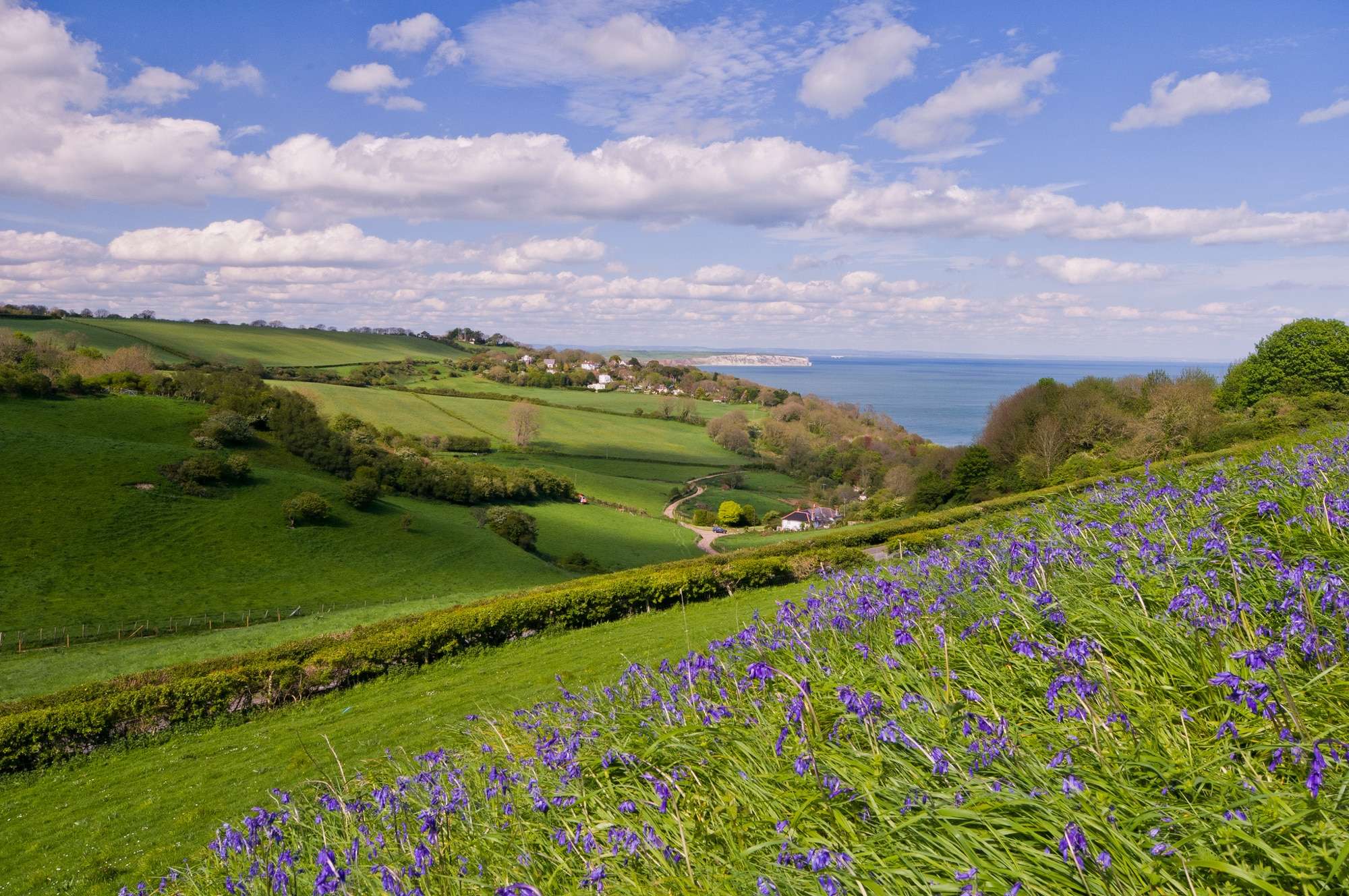 Luccombe View